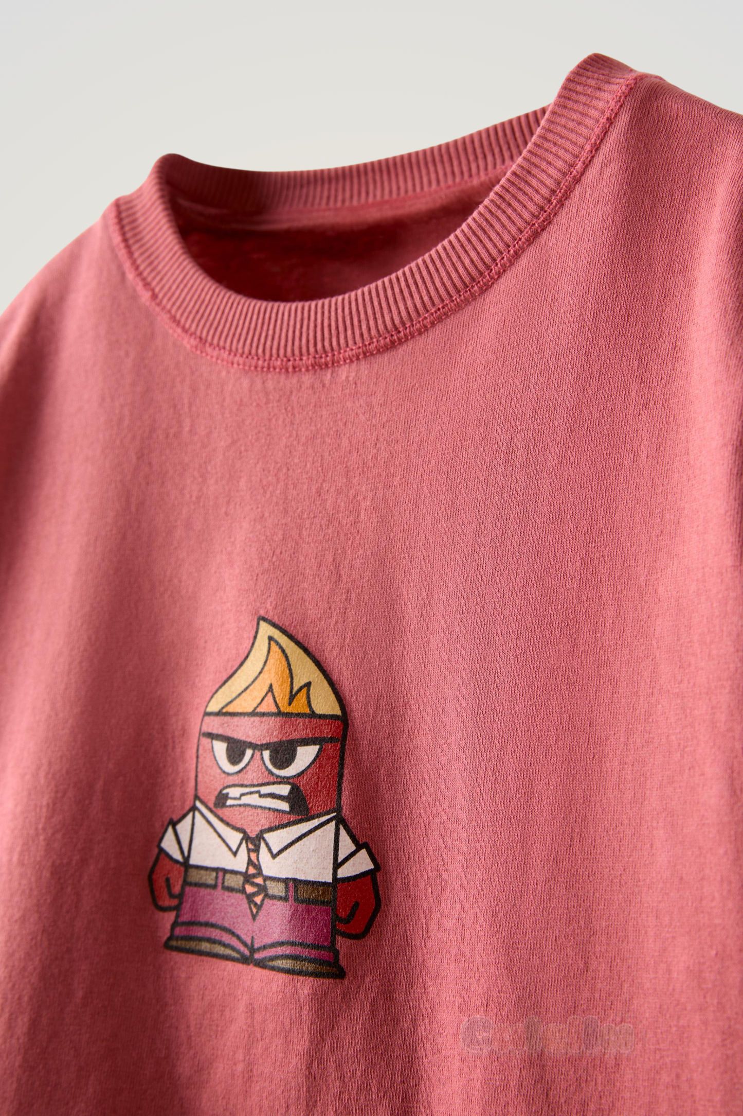 Franelita personaje Furia